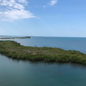 Meet your Posher, Roy